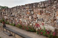 Garden wall built from various different recycled bricks and architectural stone ornaments with Centranthus ruber - Red valerian, Holland