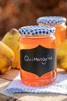 Quittengelee - Quince Jelly in jars on table top, with quince fruits, blue gingham lids and table cloth. 