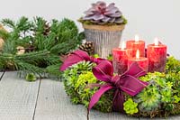 Succulent advent wreath with Sempervivum Bronco, Crassula, red pillar candles and red ribbons on rustic table top. 