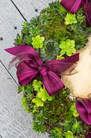 Succulent wreath on gold plate with Sempervivum Bronco, Crassula and red ribbons on rustic table top 