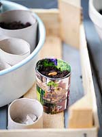 Homemade colourful paper pots with compost and beans