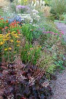 Section of perennial flower bed with Heuchera in foreground