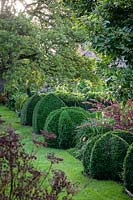Shaped hedging in borders