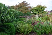 Autumn border with topiary