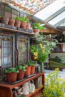Old fashioned garden room, or potting shed, filled with vintage gardening equipment and paraphanalia, cut flowers in vase