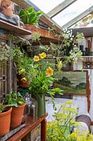 Old fashioned garden room, or potting shed, filled with vintage gardening equipment and paraphanalia, cut flowers in vase