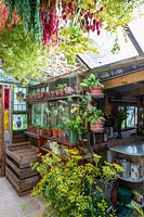 Old fashioned garden room, or potting shed, filled with vintage gardening equipment and paraphanalia, flowers and seed heads hanging out to dry.