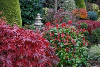 Oriental lantern amidst autumnal colours of mixed acers, conifers, photinias, topiary and azaleas