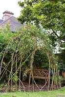 Living willow den