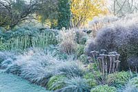 Winter border on a frosty morning