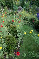 Wild flower planting with Papaver rhoeas - Field poppy, Agrostemma githago - Corn cockle and Glebionis segetum - Corn marigold and grassy path leading to a seating area. 