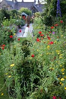 Wild flower planting with Papaver rhoeas - Field poppy Agrostemma githago - Corn cockle and Glebionis segetum - Corn marigold Delphinium Taxus baccata and grassy path leading to a contemorary rill and classical urn