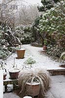 Snow in town garden with small lawn and gravel borders, large perennial and shrub borders, grasses, Stipa and Magnolia in pots