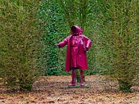 The Paper Lady sculpture, viewed through Hornbeam arch at East Ruston Old Vicarage garden, Norfolk, UK. 