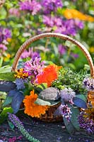 Picked edible flowers and herbs in trug.
