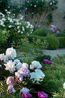 Peony bed and rose parterre