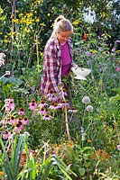 Woman picking herbs in kitchen garden. 
