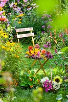 Cut flowers on the chair - Dahlia, Zinnia, Monarda, Phlox, Helianthus, Fennel and Rudbeckia.