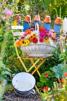 Basket with flowers on a chair.