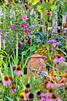 Flowers in kitchen garden in late summr - Echinacea purpurea, Tagetes tenuifolia, Cosmos bipinnatus, Aster, Zinnia elegans, Verbena bonariensis, Tropaeolum majus and Dahlia.