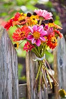 Bouquet with zinnias, dahlias and coneflowers attached to a fence.