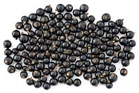 Ribes nigrum - Blackcurrant - picked fruit