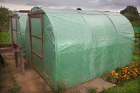 Domestic polytunnel erected on an allotment site 