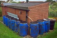 Collecting rainwater into many water butts from an allotment shed roof. 