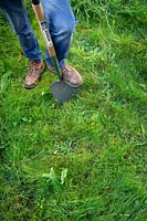 Checking soil profile by digging an inspection hole - Step 1 Remove turf