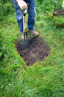 Checking soil profile by digging an inspection hole. Step 2 Excavate the soil to a depth of 30cm