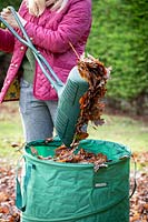 Gathering up fallen leaves with a leaf grabber and collection bag