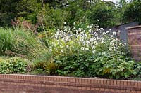 Large raised bed with retaining brick wall in front garden with Anemone x hybrida 'Whirlwind', Stipa gigantea, Epimedium and bamboos - September