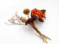Bunch of dried flowers and seed heads tied together