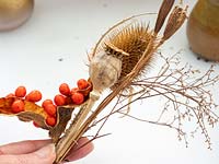 Prepared dried flowers and seed heads for Christmas, autumn, winter arrangements. 