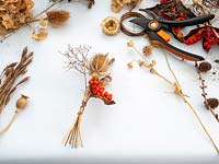 Prepared dried flowers and seed heads for Christmas, autumn, winter arrangements.