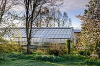 Long greenhouse at Avon Bulbs Nursery. 