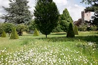 A country garden with wild flower meadows of Oxeye Daisies and Meadow Buttercup, formal topiary, antique stone benches and a church view.