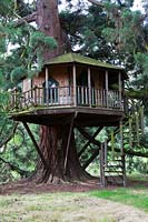 Treehouse with linked walkway in two Giant Sequoia trees. 