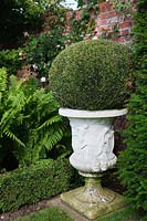 Buxus sempervirens - Box -  ball in ornate urn in a formal border in walled garden.