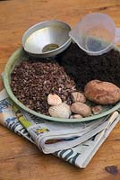 Equipment - compost, grit, pebbles, old newspaper, funnels - Step by step - How to plant a bottle garden. 