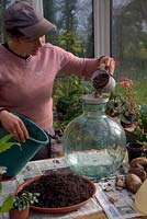 Woman planting up a large viresa carboy bottle garden. 