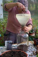 Woman planting up a glass demijon with restricted neck.
