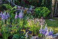 Mixed planting flower bed with with Camassia esculenta 'Quamash', Lychnis flos cuculi 'Terry's Pink' with ferns, Hosta and Euphorbia. The Water Spout Garden