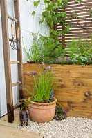 Small wooden raised bed planted with herbs and vegetables, chives, thyme, pepper, fennel, lettuce with a young grape vine growing on a trellis and garden tools on an old ladder, chives growing in a terracotta container on gravel border. Ikhaya Home garden. RHS Malvern Spring Festival May 2019   - Designer: Stacey Bright 