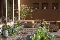 Cob and clay plastered wall with shelves and seating area - small patio - border planted with herbs, kale - glass vase with cow parsley. An Artist's Studio Home - Green Living Spaces. RHS Malvern Spring Festival May 2019 - Design: Jessica Makins 