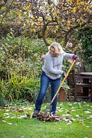 Using a tine rake to gather leaves off a lawn in autumn