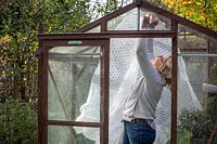 PInning up plastic bubblewrap to insulate a greenhouse ready for winter