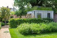 A modern summerhouse behind a Hornbeam hedge and Wildflower border including wild carrot and purple vetch.