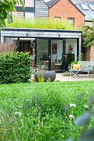 A modern house and garden with green roof, lawn, gravelled seating area and contemporary pond. Planting includes a Parrotia persica tree, Hornbeam hedge and Wildflower border including wild carrot and purple vetch.