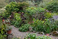 Informal country garden planted with exotics in September 